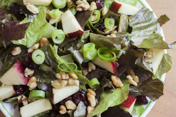 Appel-cranberrysalade